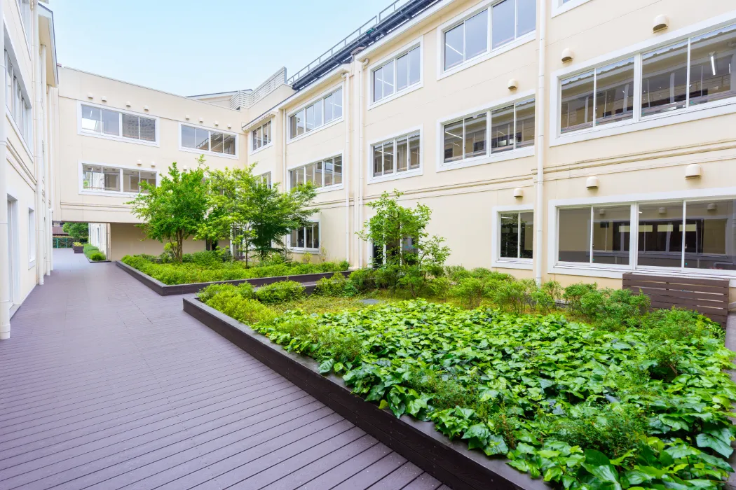 関東国際高等学校の校舎と中庭｜緑豊かな植栽が広がるウッドデッキの通路